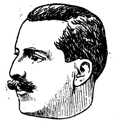 Portrait Of French Writer Alfred Vallette — Félix Vallotton