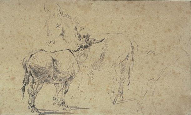 Two Studies Of Donkeys And Indication Of A Third — Nicolaes Pietersz Berchem