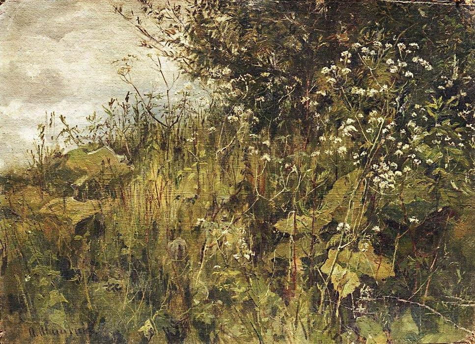 Goutweed-grass — Иван Шишкин