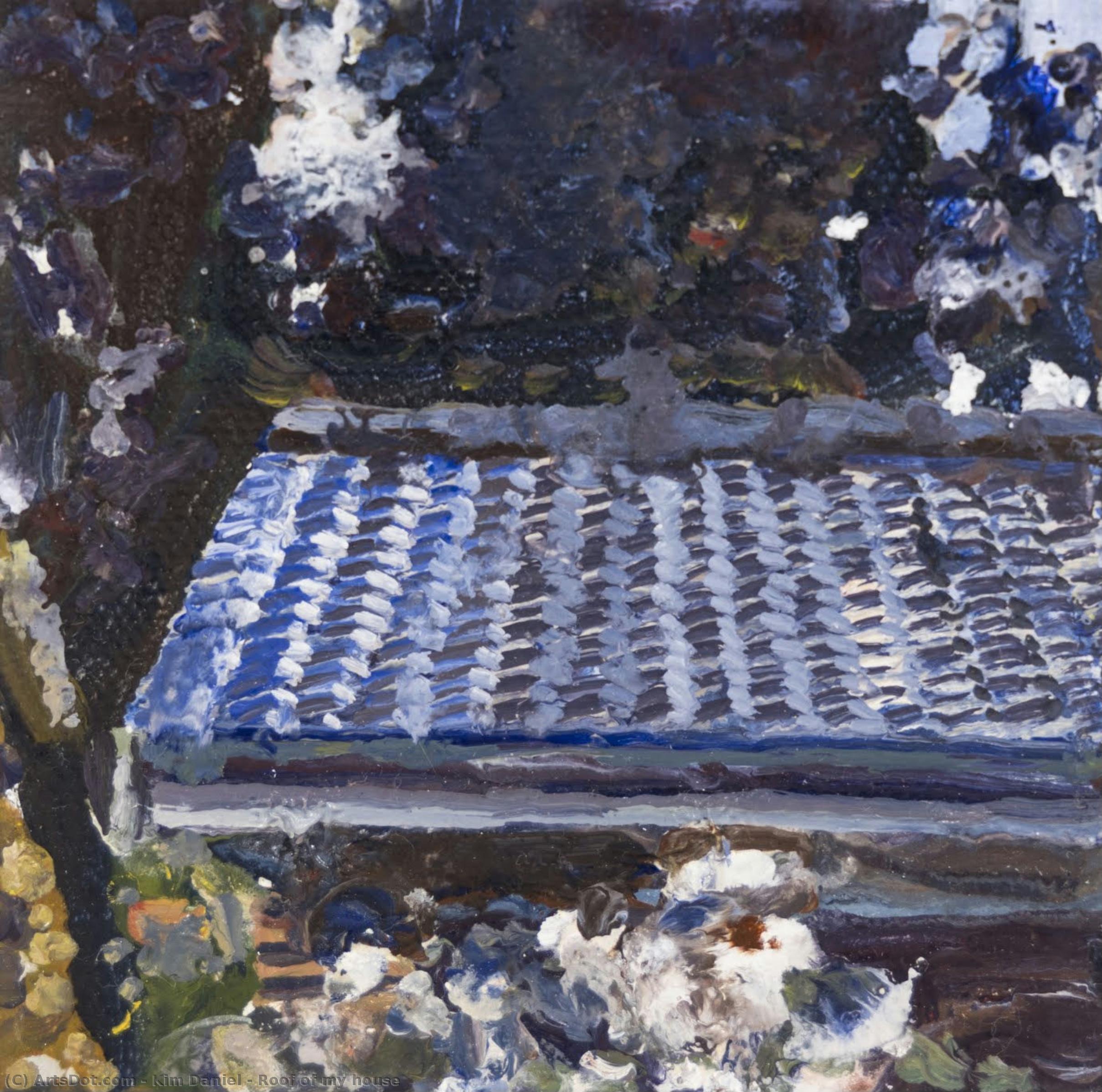 Roof Of My House — Daniel Kim