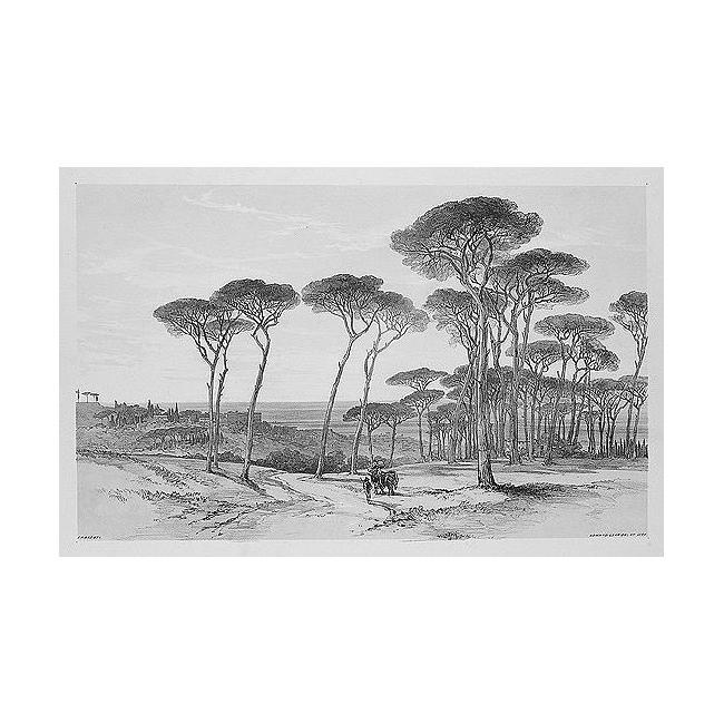 Views In Rome And Its Environs 3 — Эдвард Лэр