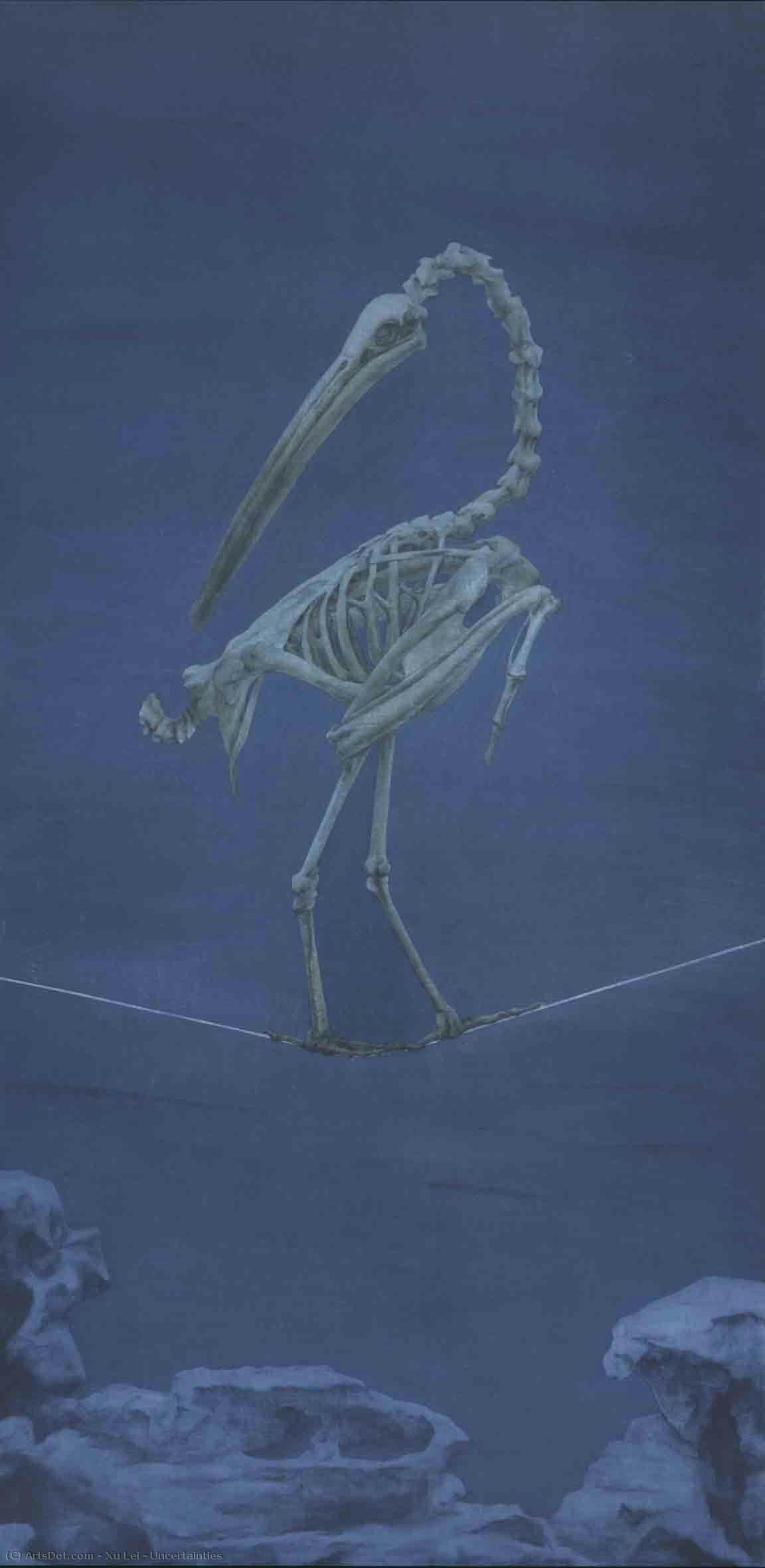 Uncertainties — Xu Lei