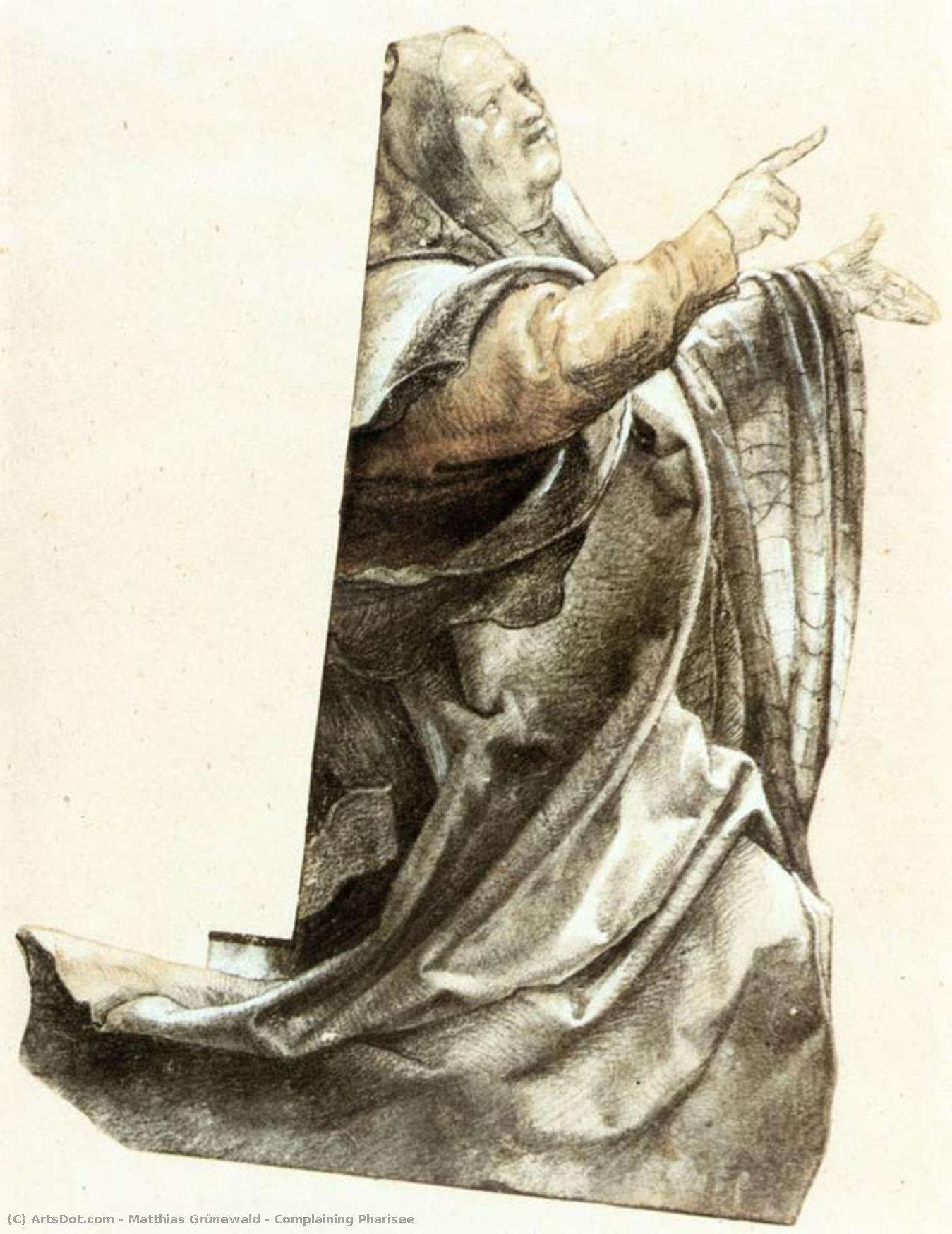 Complaining Pharisee — Гринев Wald