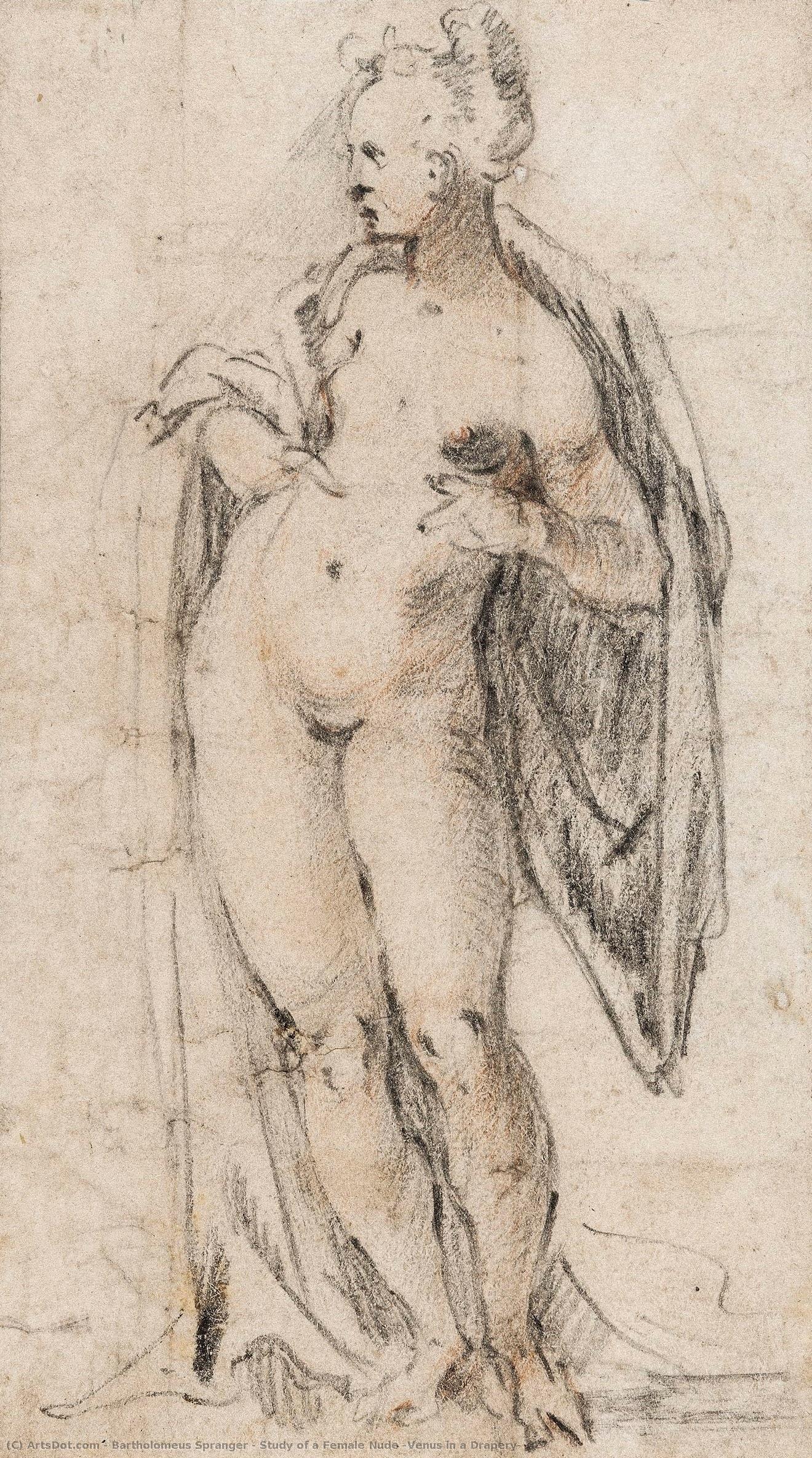 Study Of A Female Nude (venus In A Drapery) — Bartholomeus Spranger