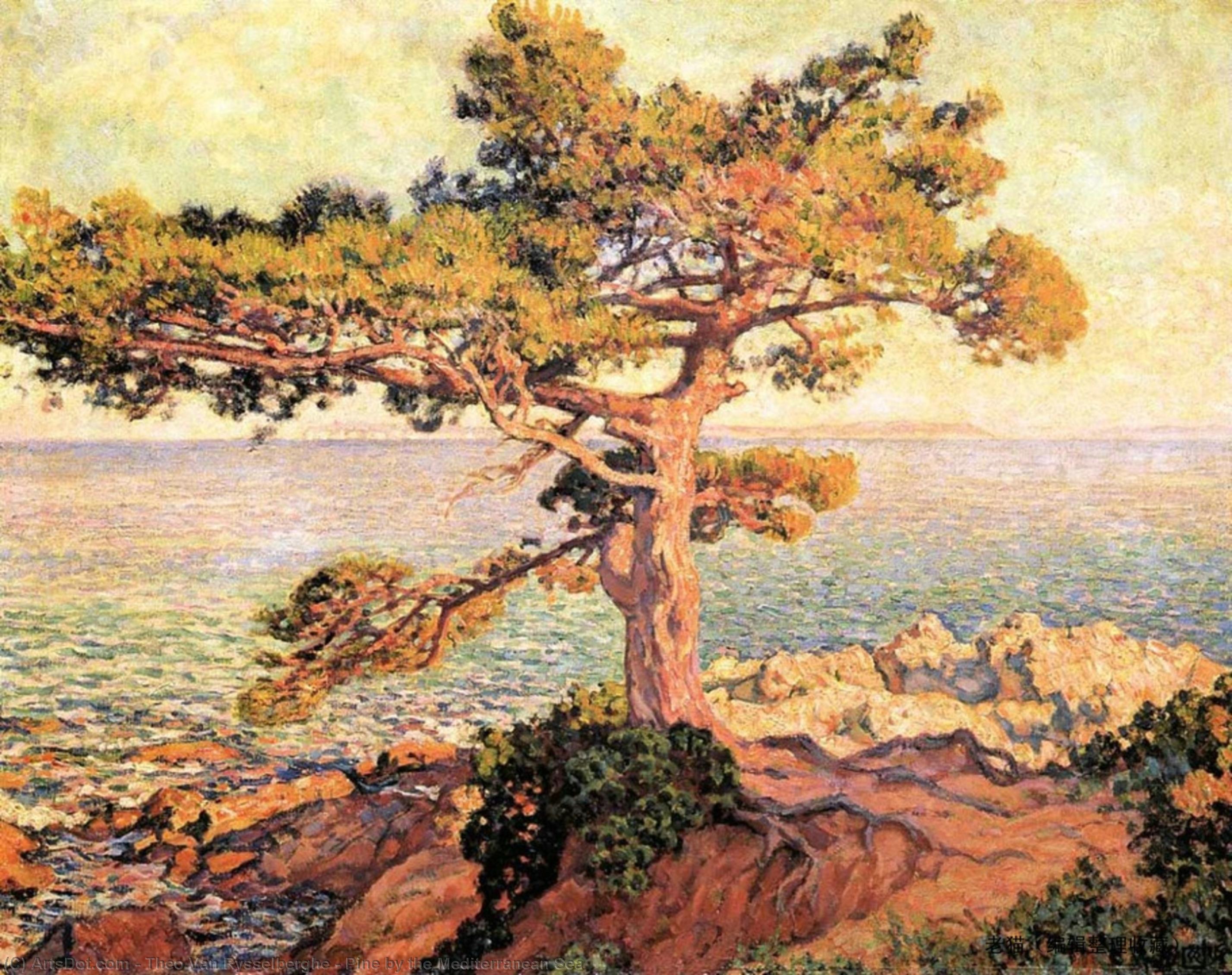 Kiefer Am Mittelmeer — Theo Van Rysselberghe