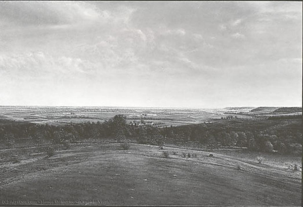 A Prairie Vista — James D. Butler