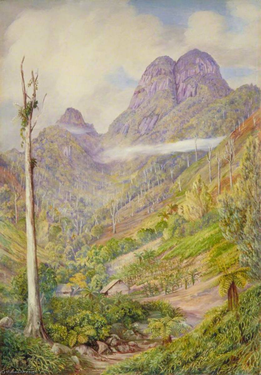 The Highest Point In Mahé With Dead Capucin Trees In The Valley — Marianne North