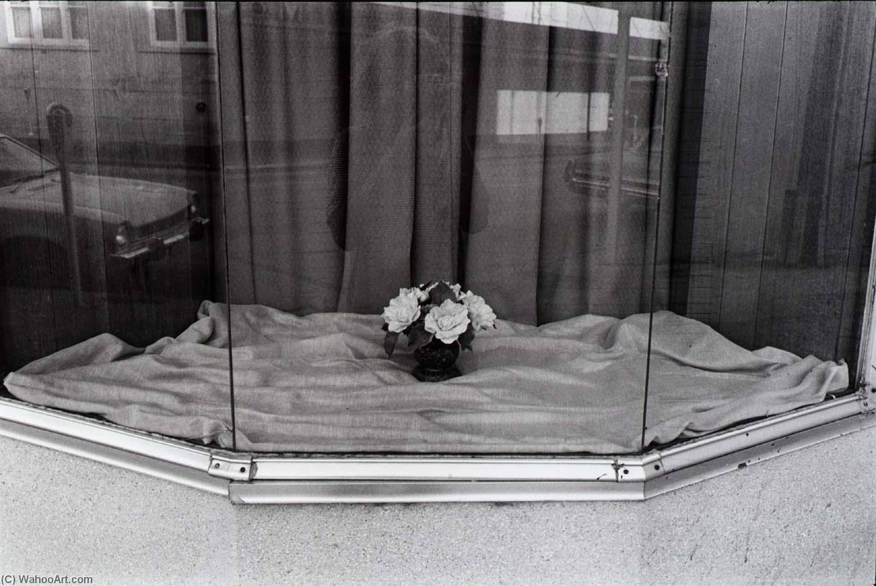 Untitled (store Window And Flowers) — Paul Hester