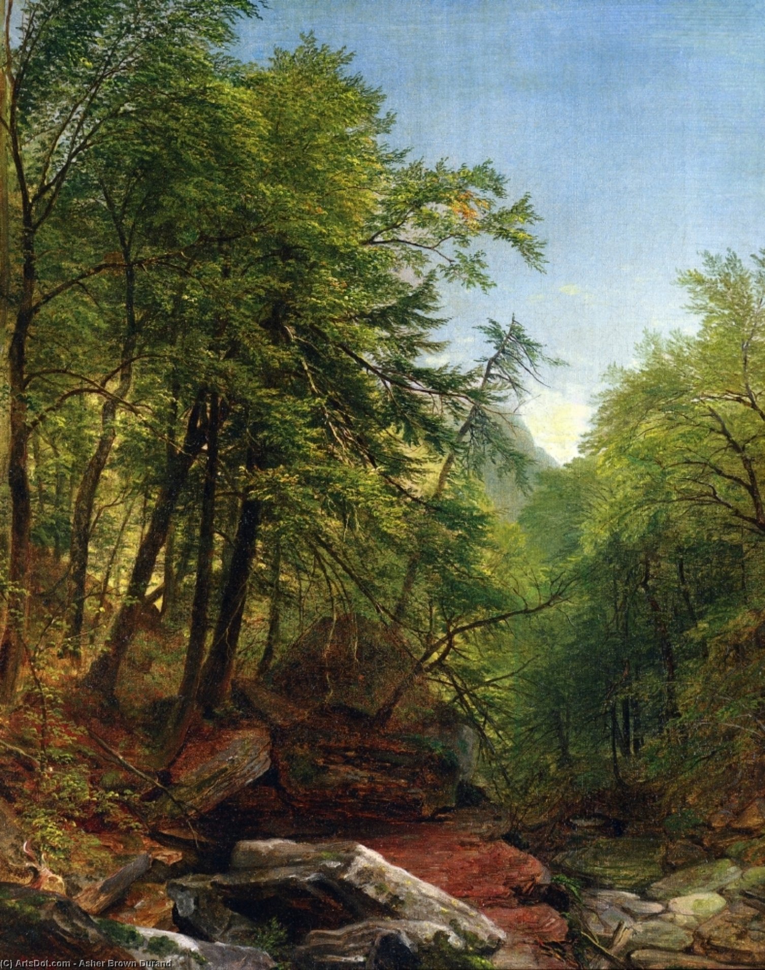 Woodland Interior — Ašer Braun Durand