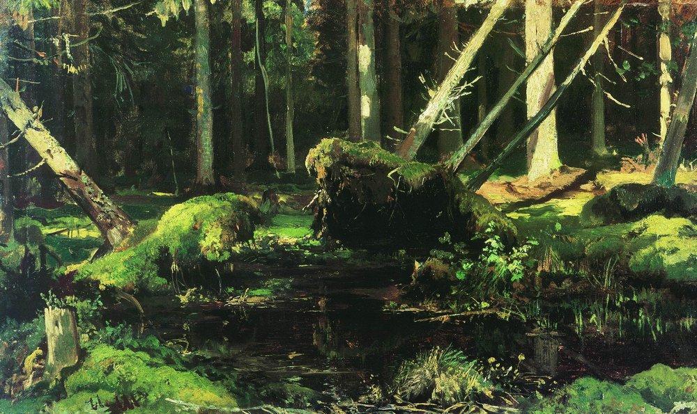 Wind Fallen Trees — Ivan Ivanovich Shishkin