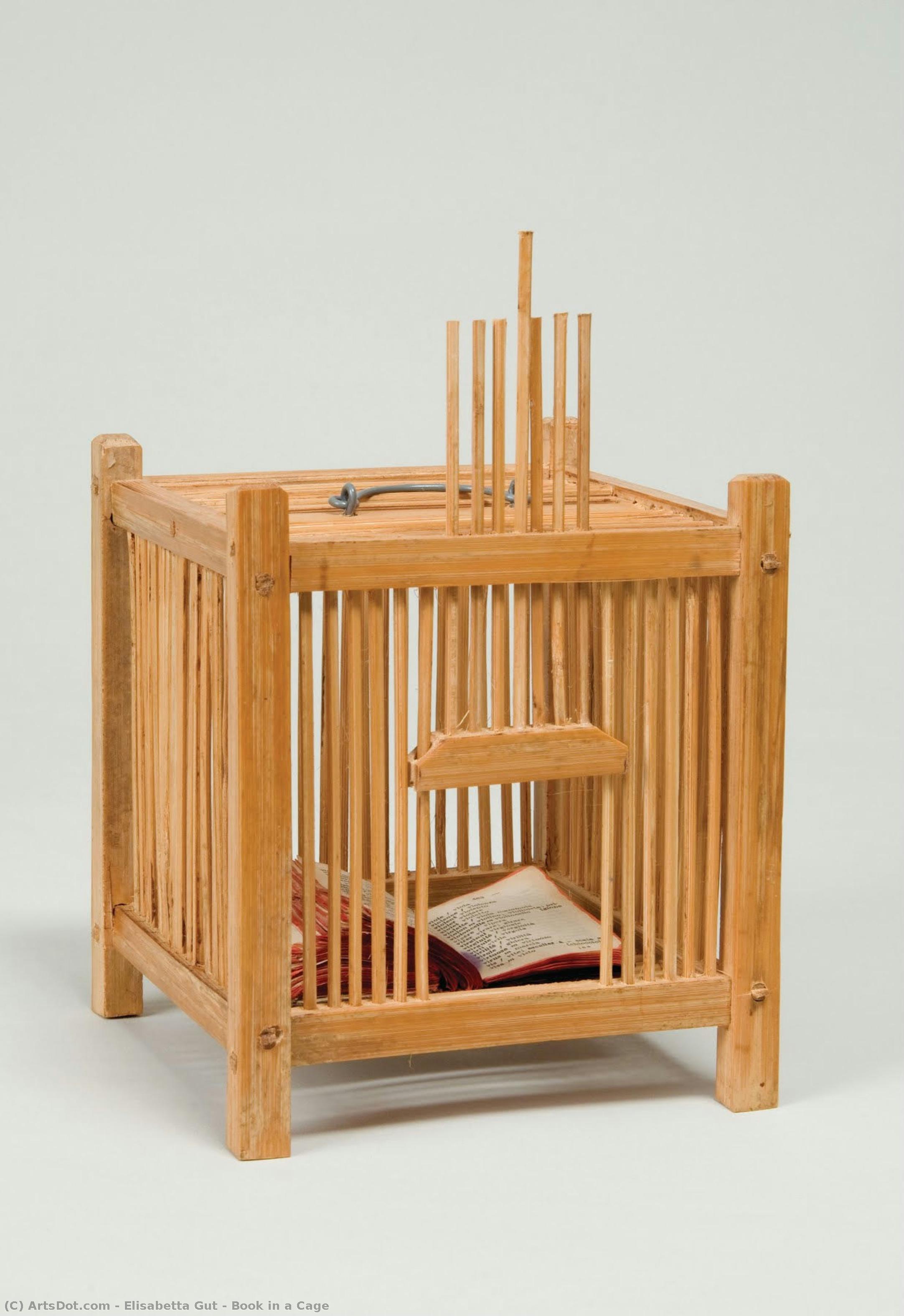 Book In A Cage — Elisabetta Gut