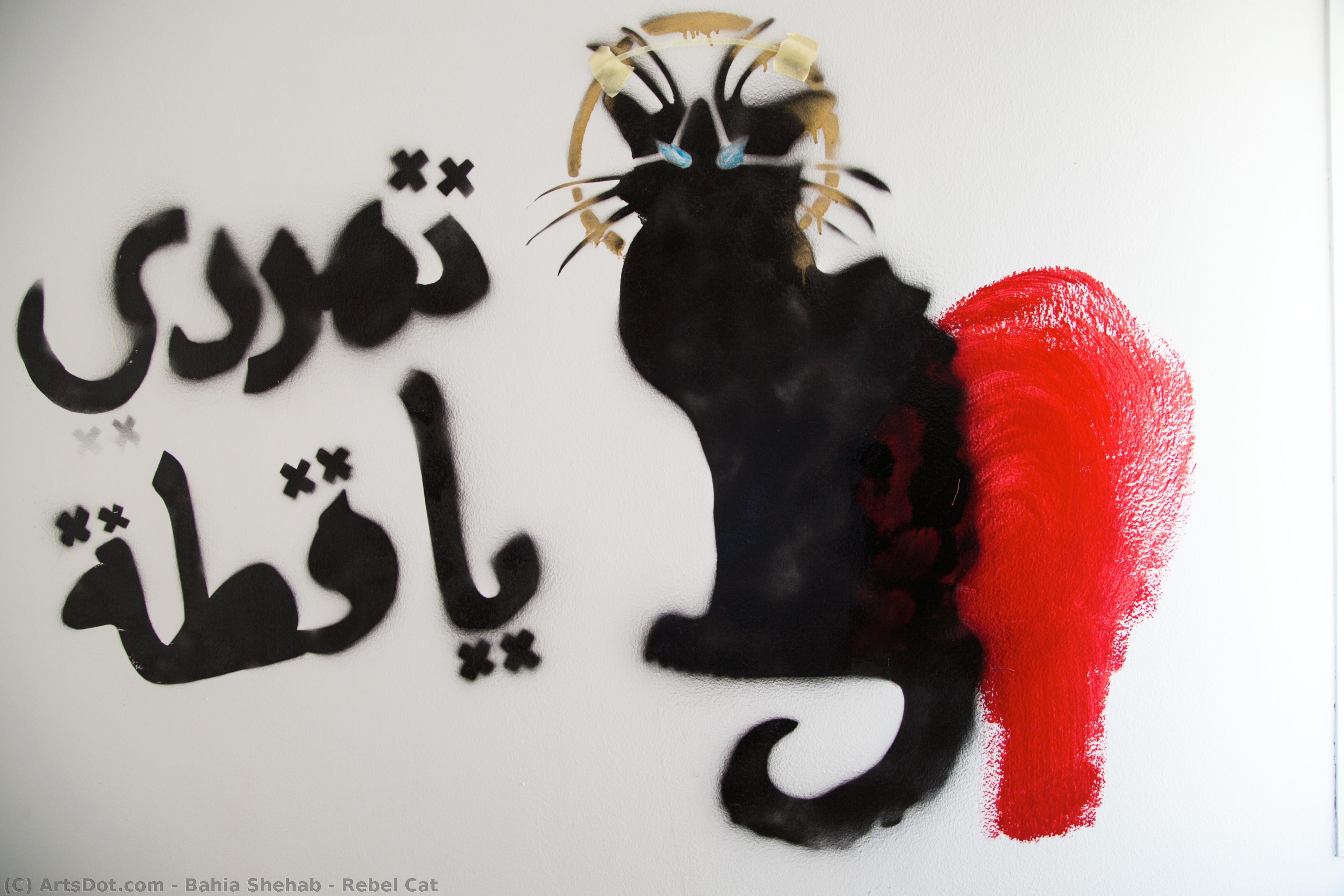 Gato Rebelde — Bahia Shehab