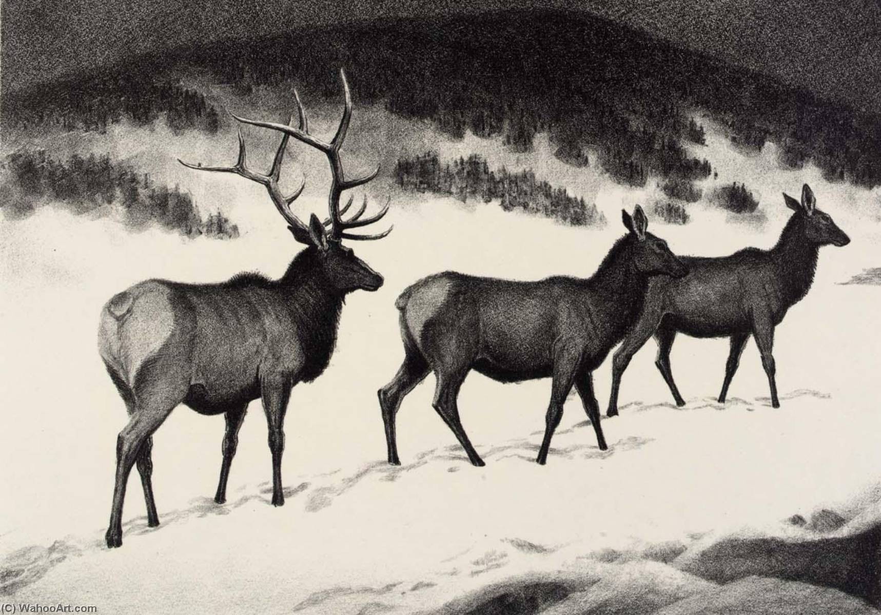 Elk — James E Allen