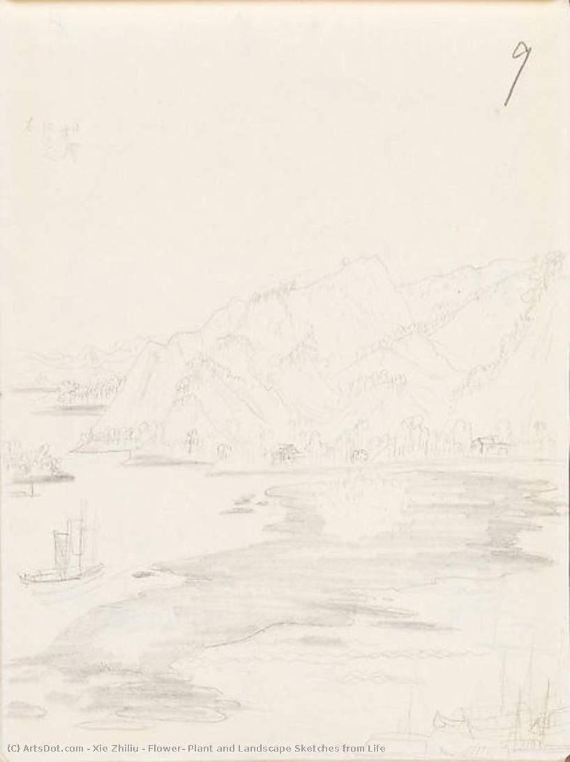 Flower, Plant And Landscape Sketches From Life — Xie Zhiliu