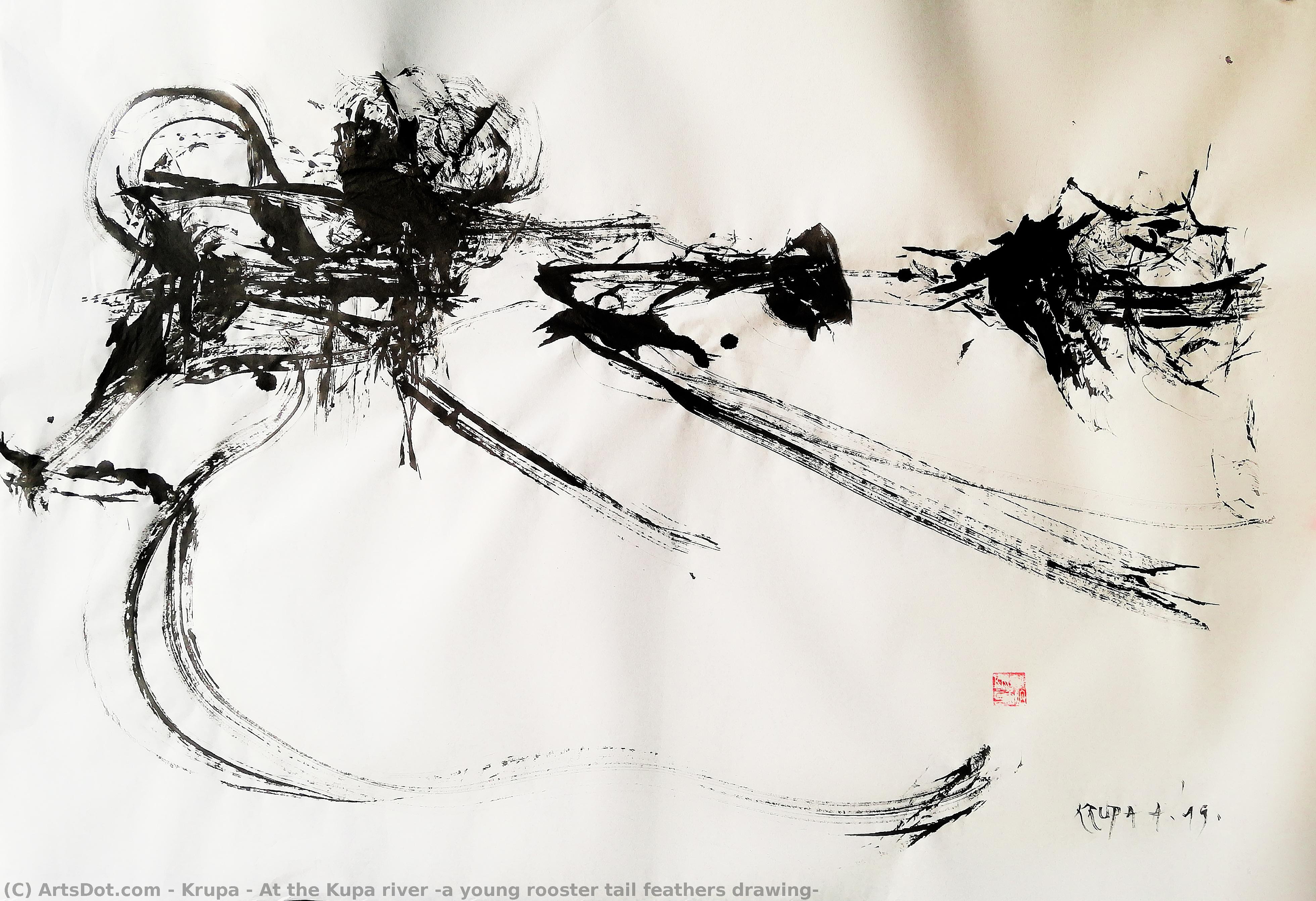At The Kupa River (a Young Rooster Tail Feathers Drawing) — Alfred Freddy Krupa