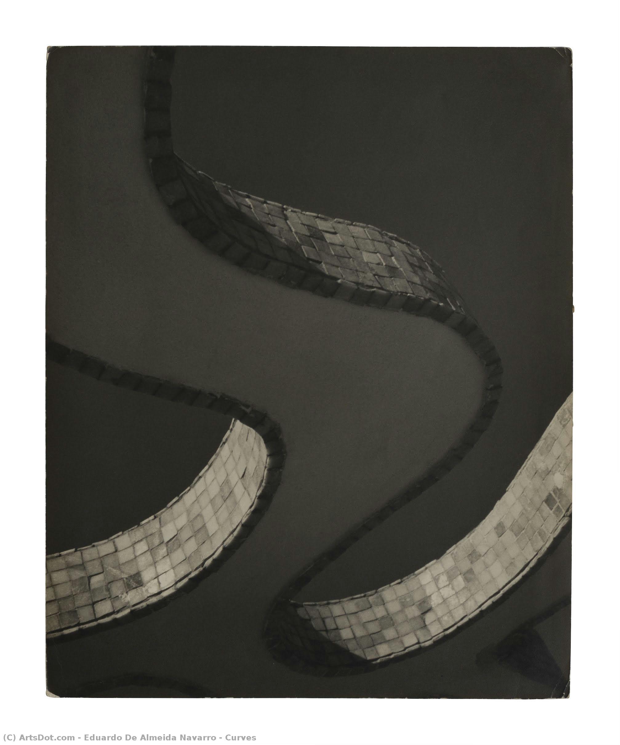 Curves — Eduardo De Almeida Navarro