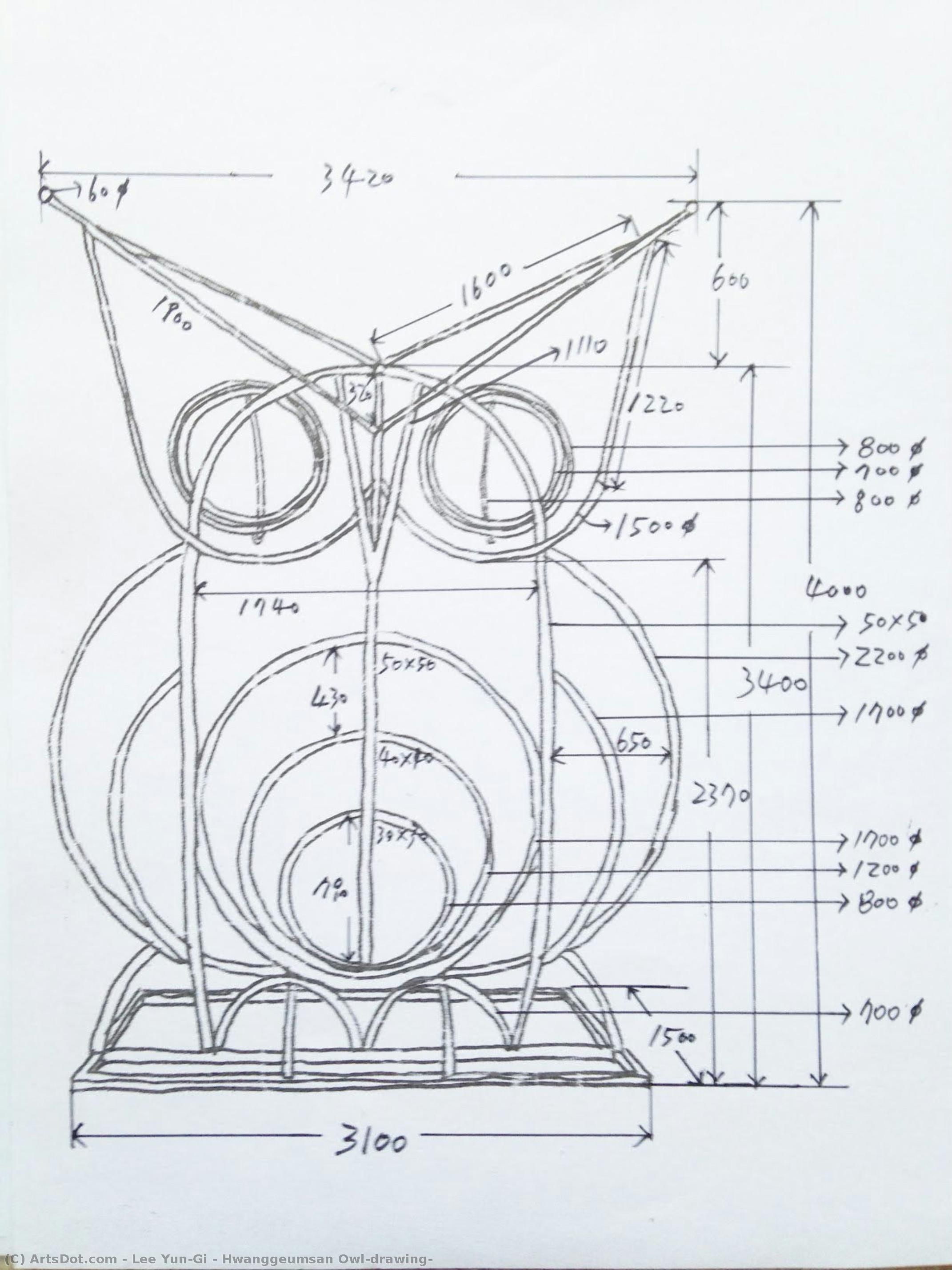 Hwanggeumsan Owl(drawing) — Lee Yun-gi