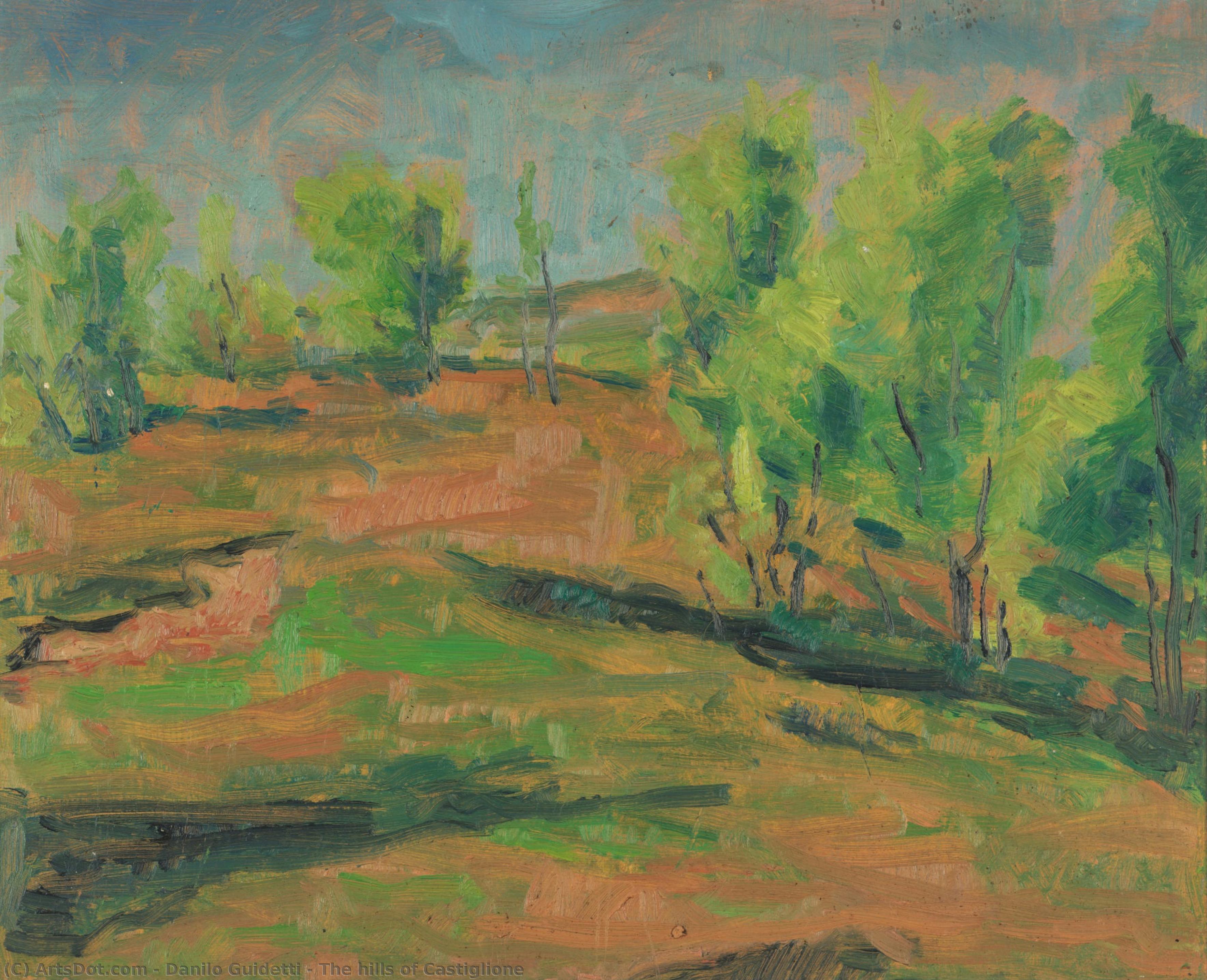 The Hills Of Castiglione — Danilo Guidetti