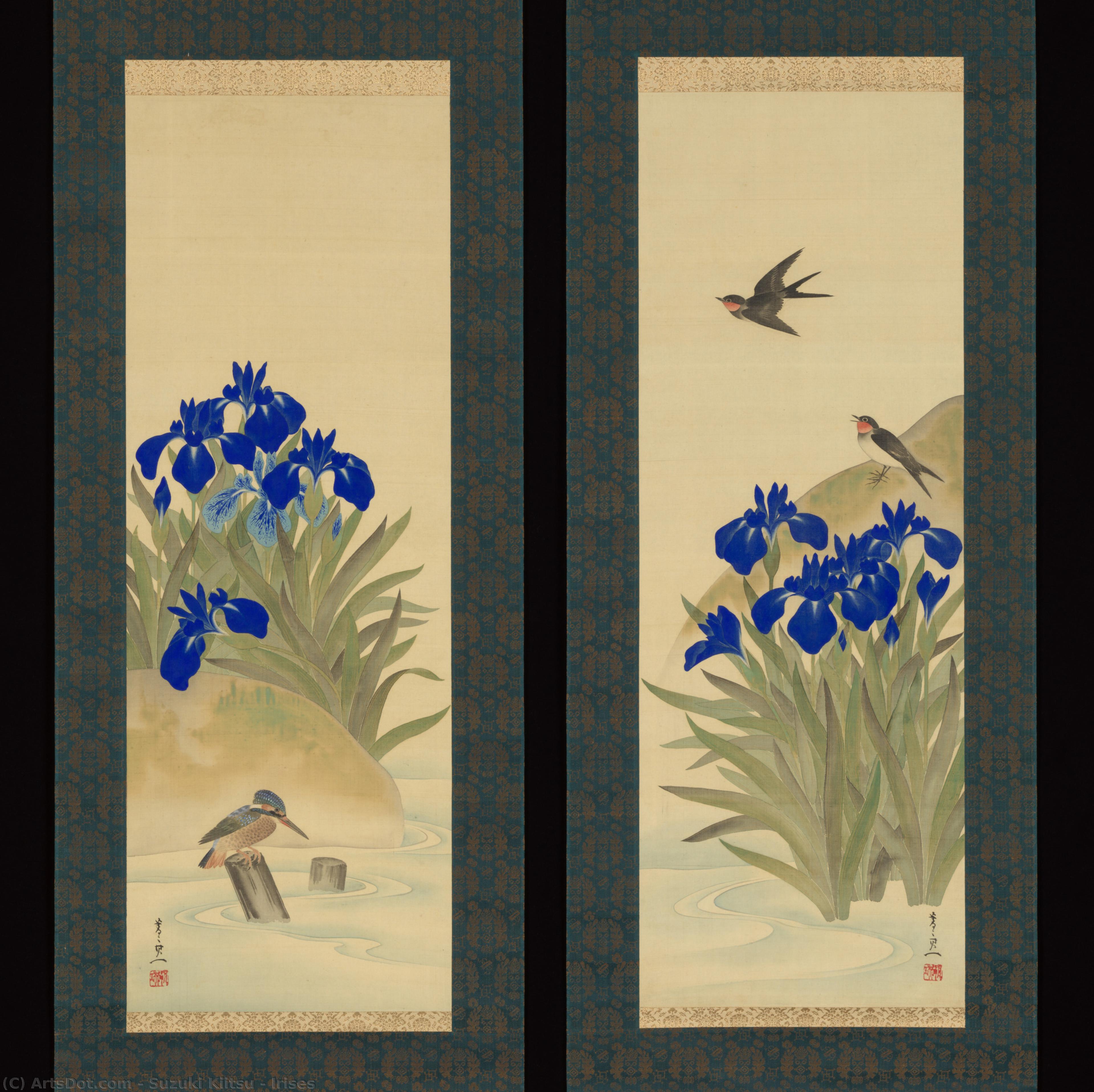 Irises — Suzuki Kiitsu