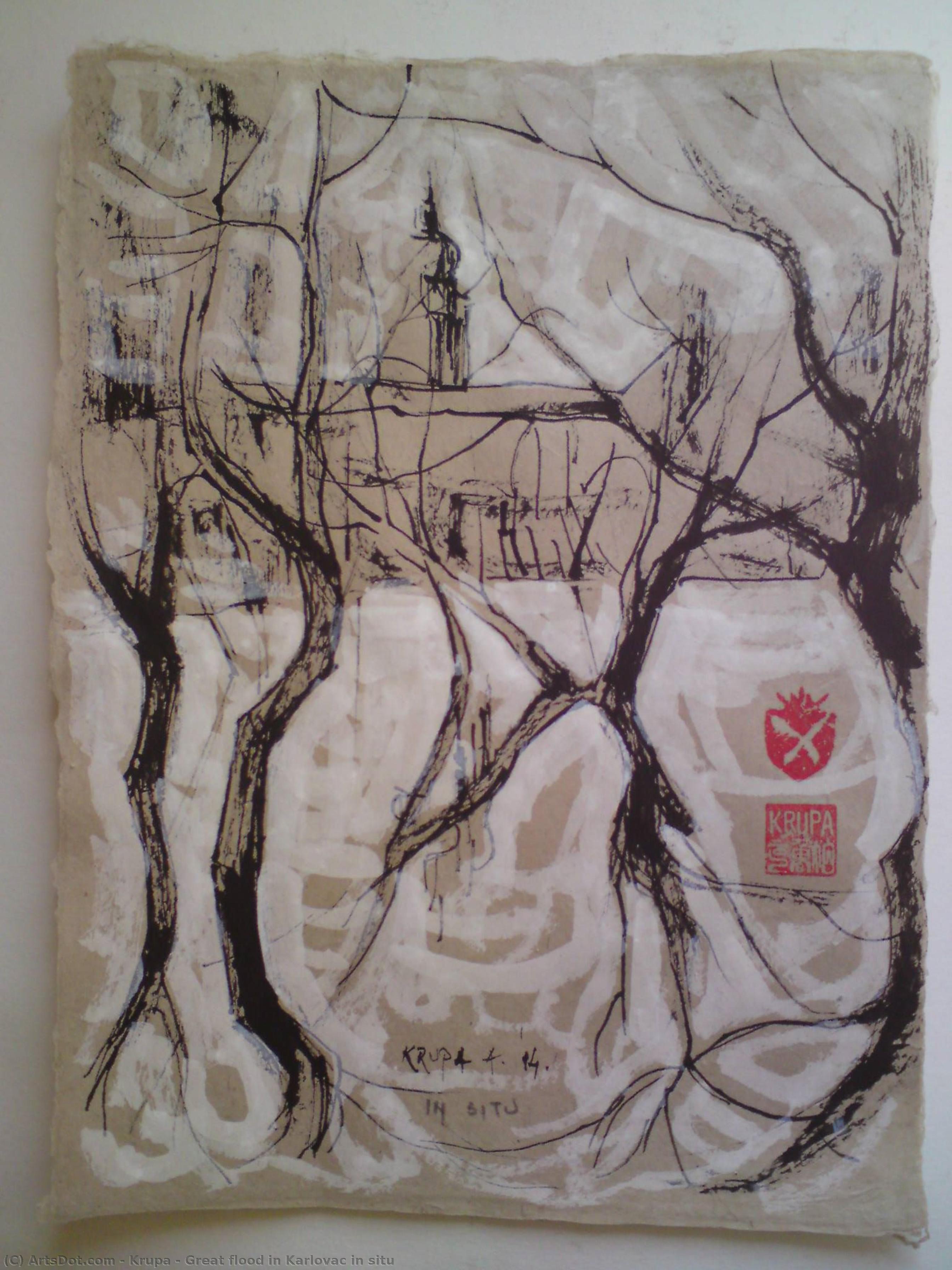 Great Flood In Karlovac In Situ — Alfred Freddy Krupa