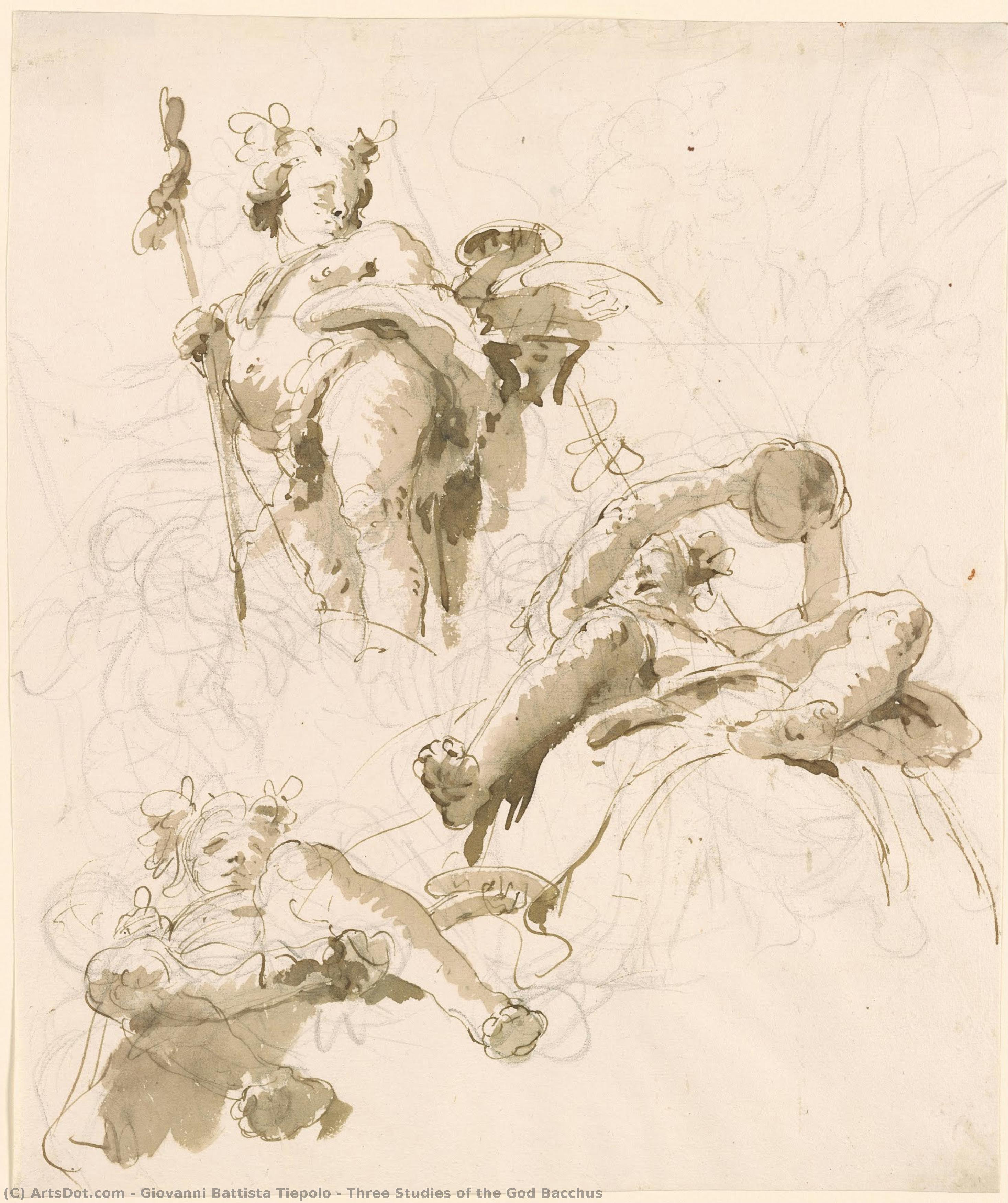 Three Studies Of The God Bacchus — Giambattista Tiepolo