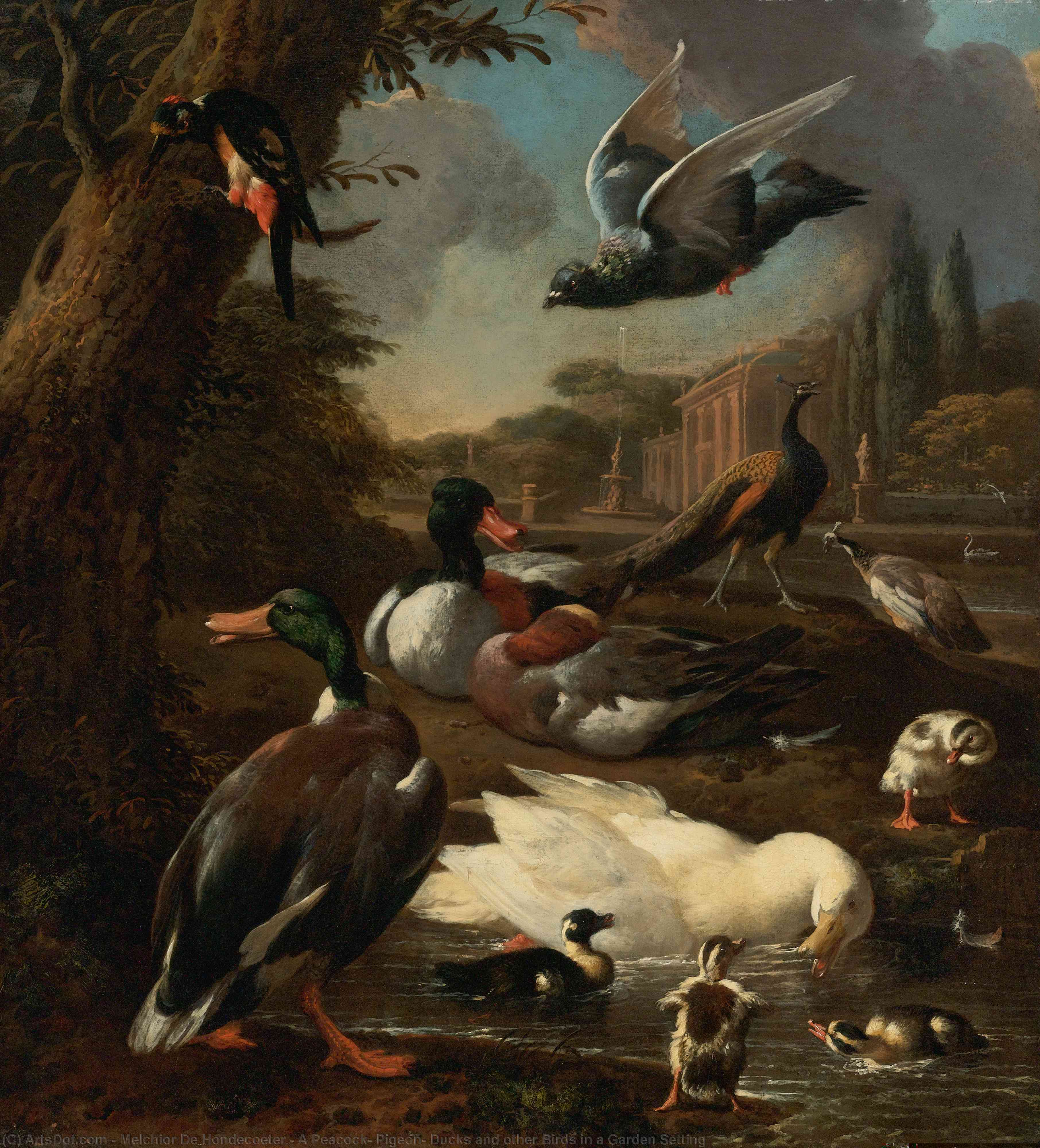 A Peacock, Pigeon, Ducks And Other Birds In A Garden Setting — Melchior De Hondecoetter