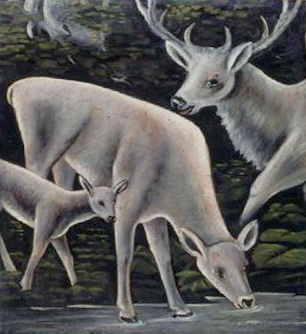 Deer Family At Waterhole — Niko Pirosmani