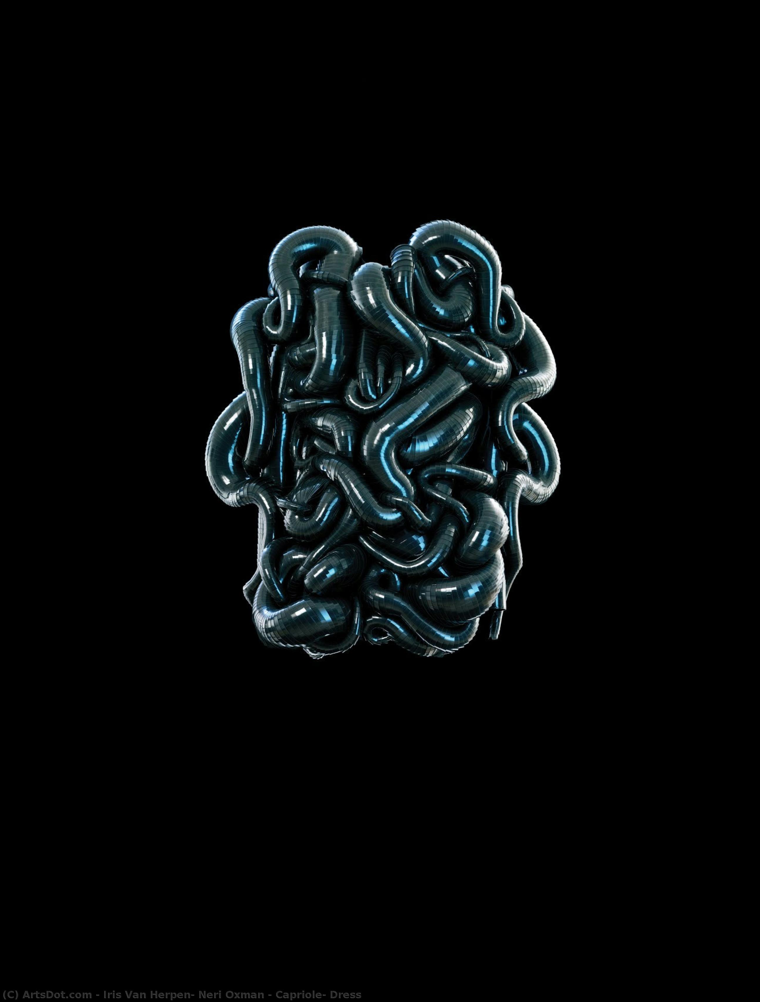 Capriole, Dress — Iris Van Herpen, Neri Oxman