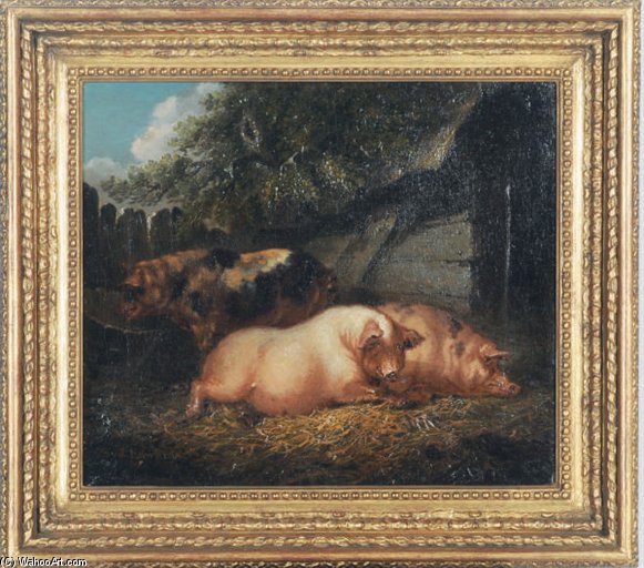 Pigs Resting In A Barn — Sydenham Teast Edwards