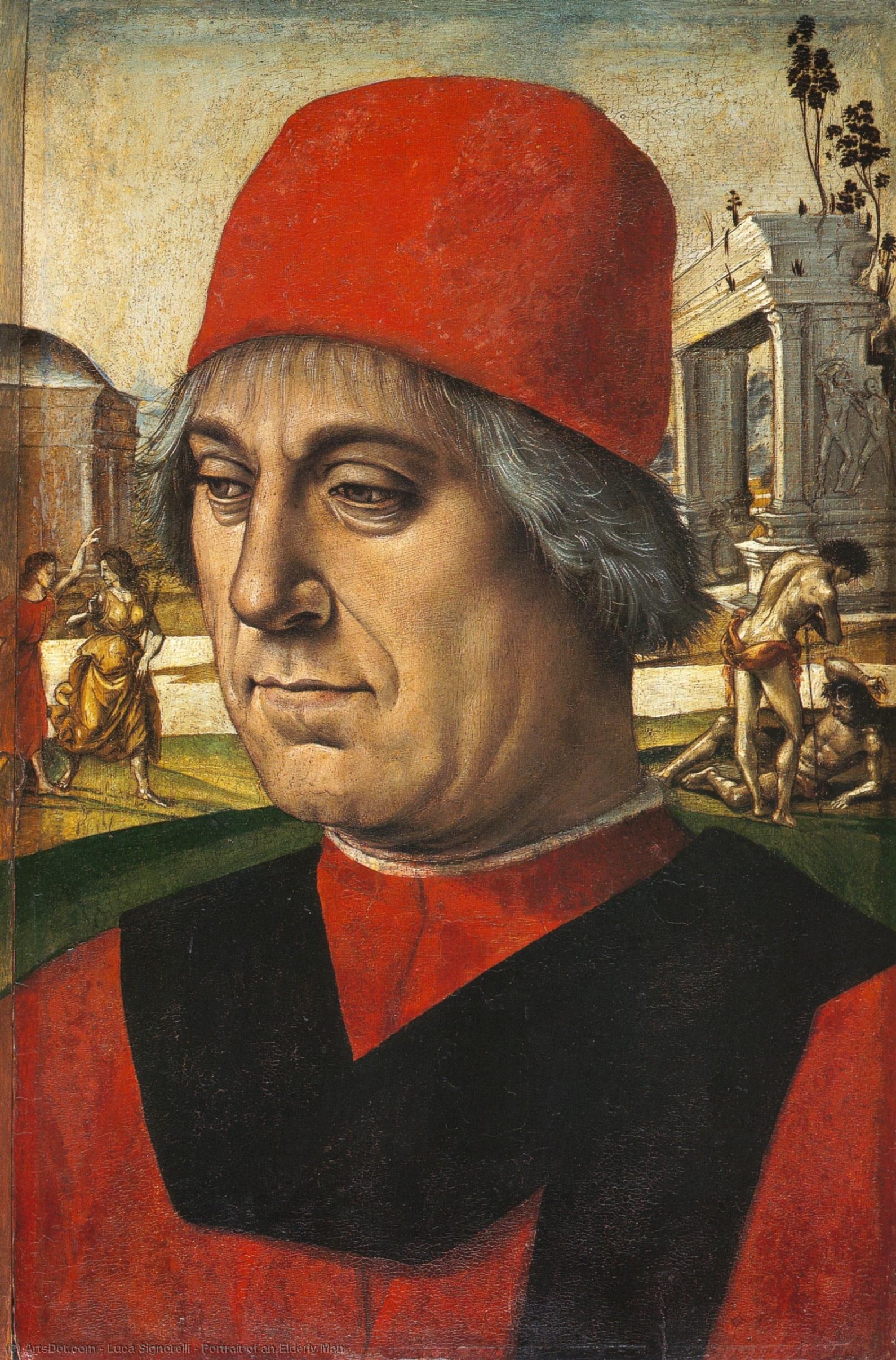 Retrato De Un Hombre Anciano — Luca Signorelli