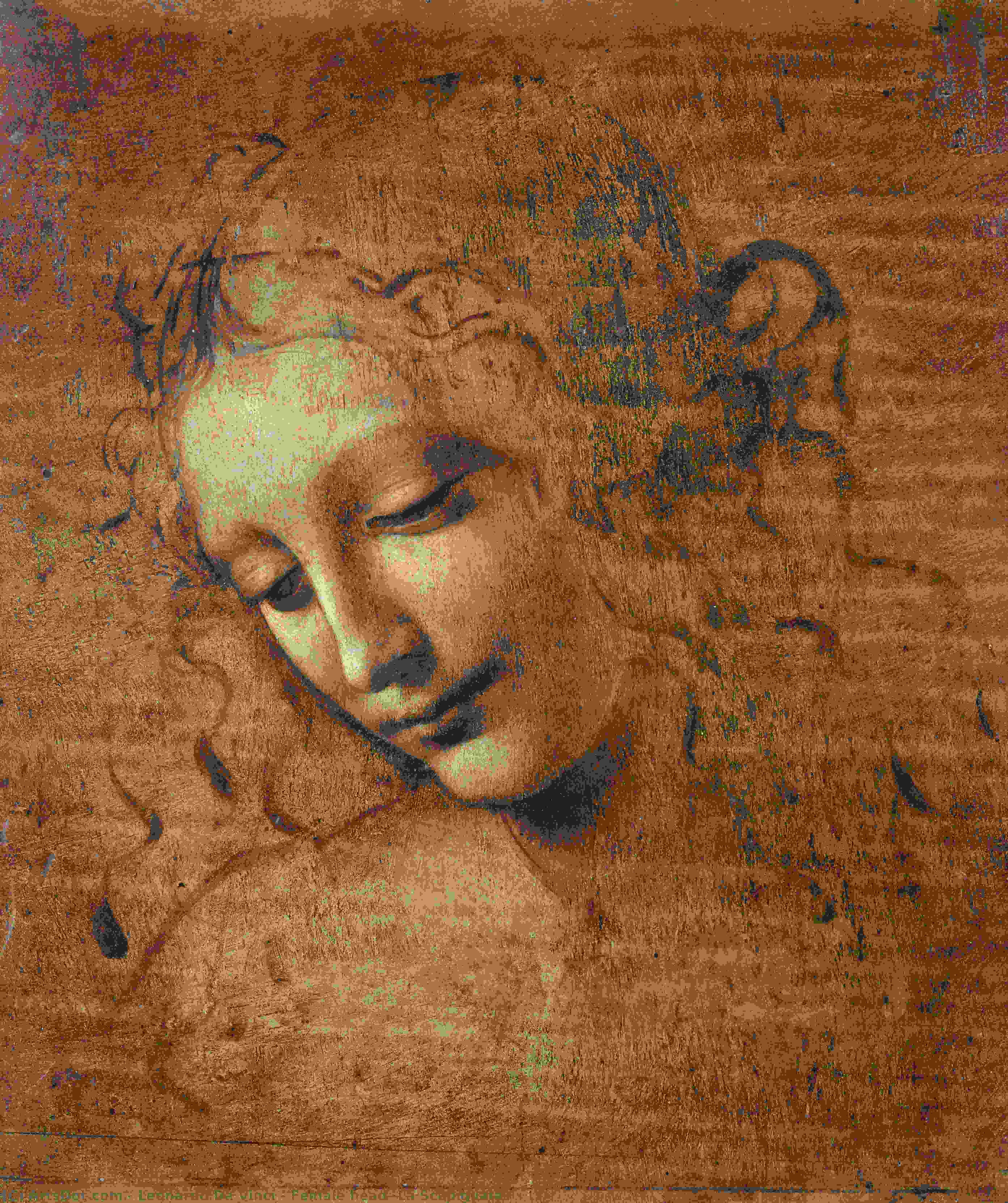 Cabeza Femenina (la Scapigliata) — Leonardo Da Vinci