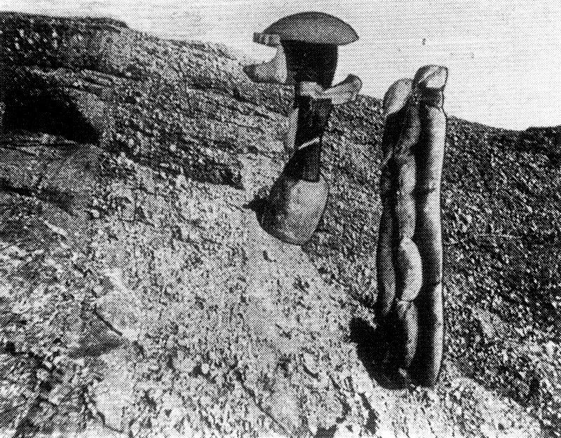 Sambesiland — Макс Эрнст