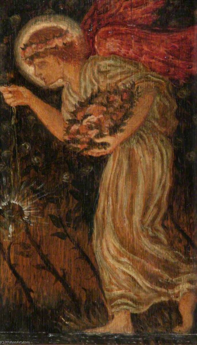 Angel — Selwyn Image