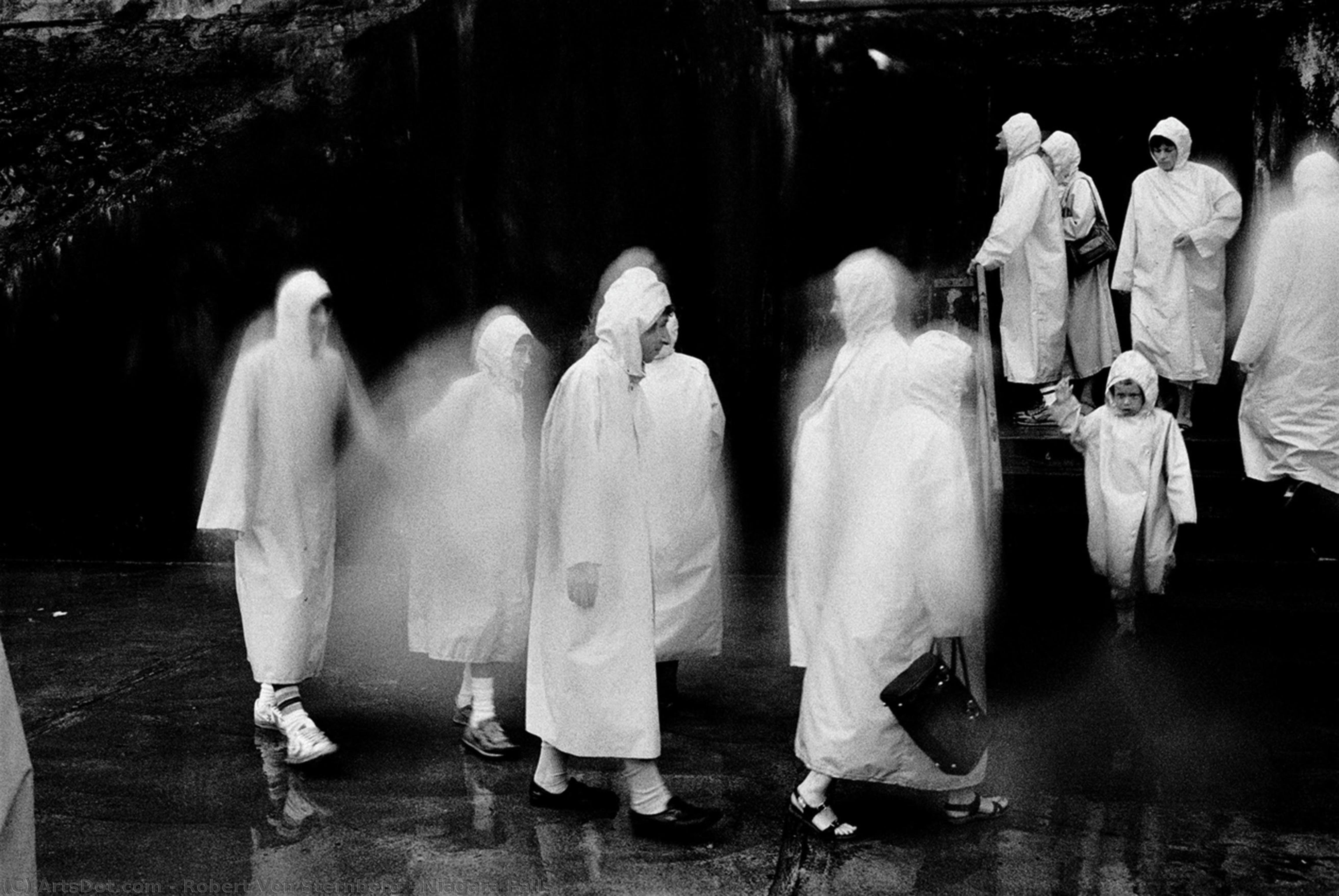 Niagara Falls — Robert Von Sternberg