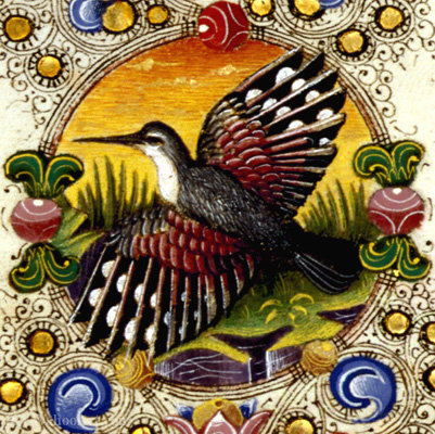 Illumination On Parchment Biblioteca Estense — Taddeo Crivelli