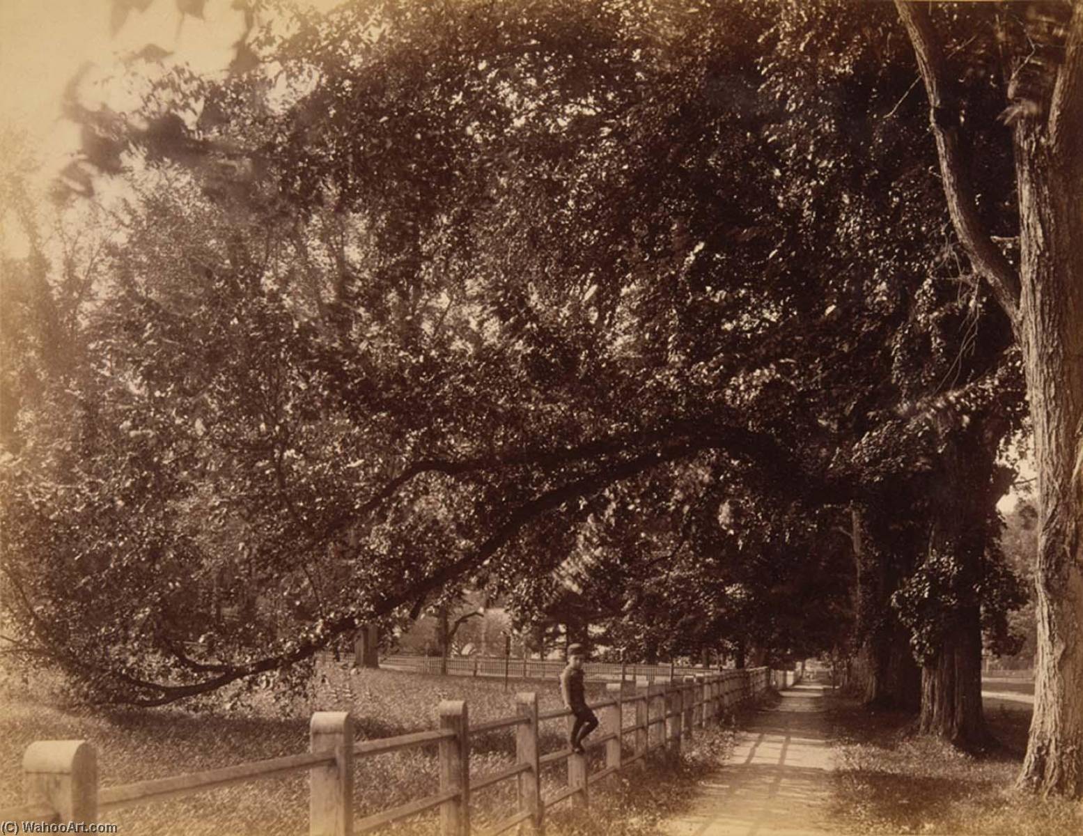 Pathway On Main Street, From The Album Views Of Charlestown, New Hampshire — Gotthelf Pach