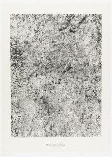 Contained Animation (animation Contenue) From The Portfolio Territories (territoires) From Phenomena (les Phénomènes) — Jean Philippe Arthur Dubuffet