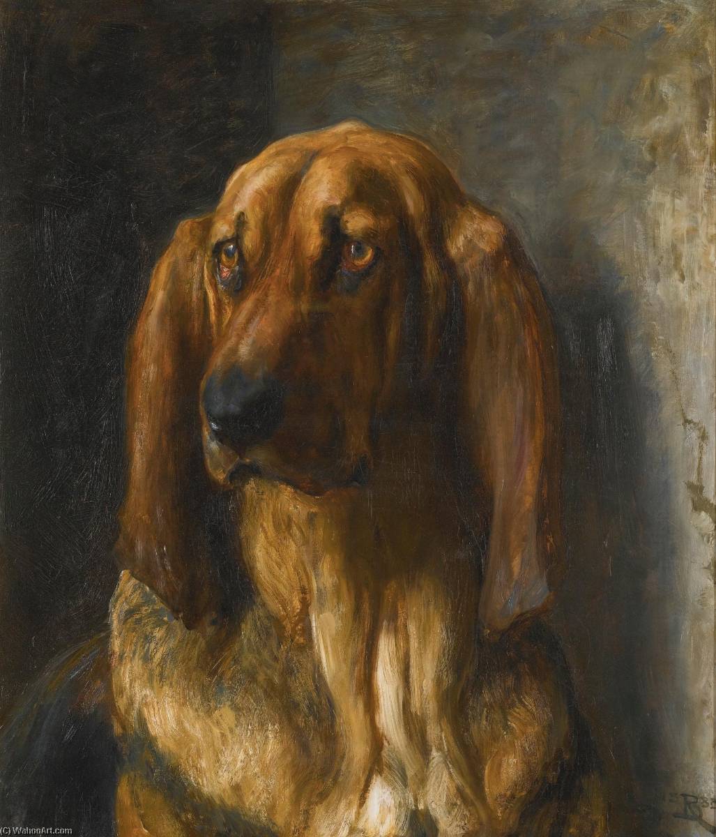 Sir Lancelot, A Bloodhound — Briton Rivjer