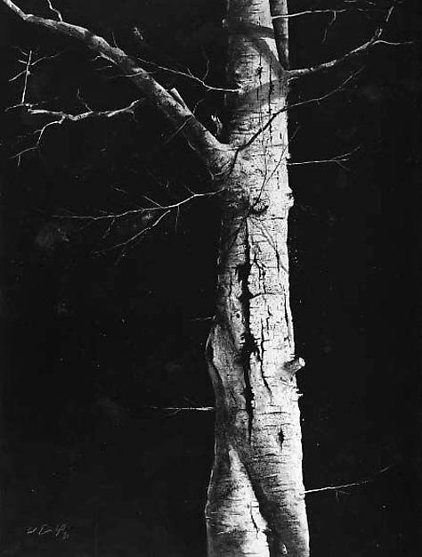 American Landscape Trunk Series — William Dunlap