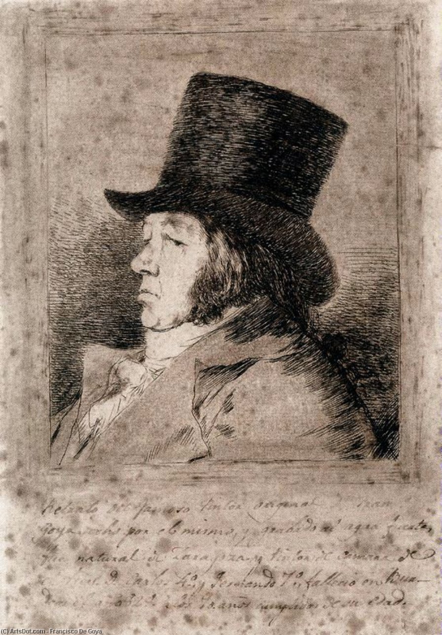 Francisco Goya Y Lucientes, Pintor — Francisco José De Goya Y Lucientes