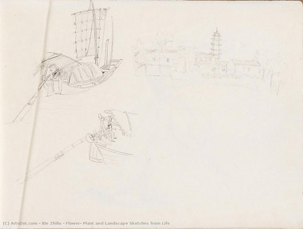 Flower, Plant And Landscape Sketches From Life — Xie Zhiliu