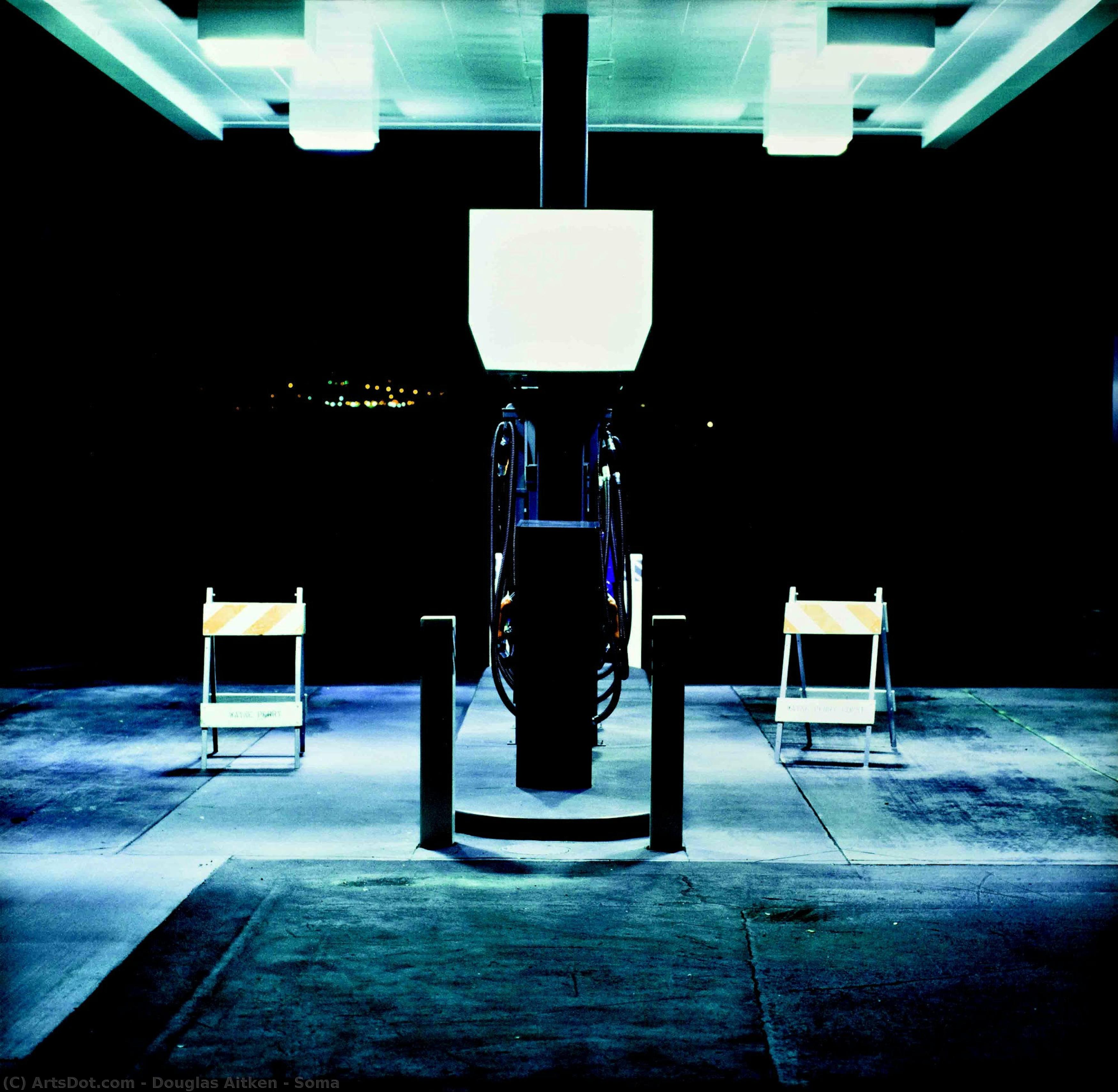 Soma — Douglas Aitken
