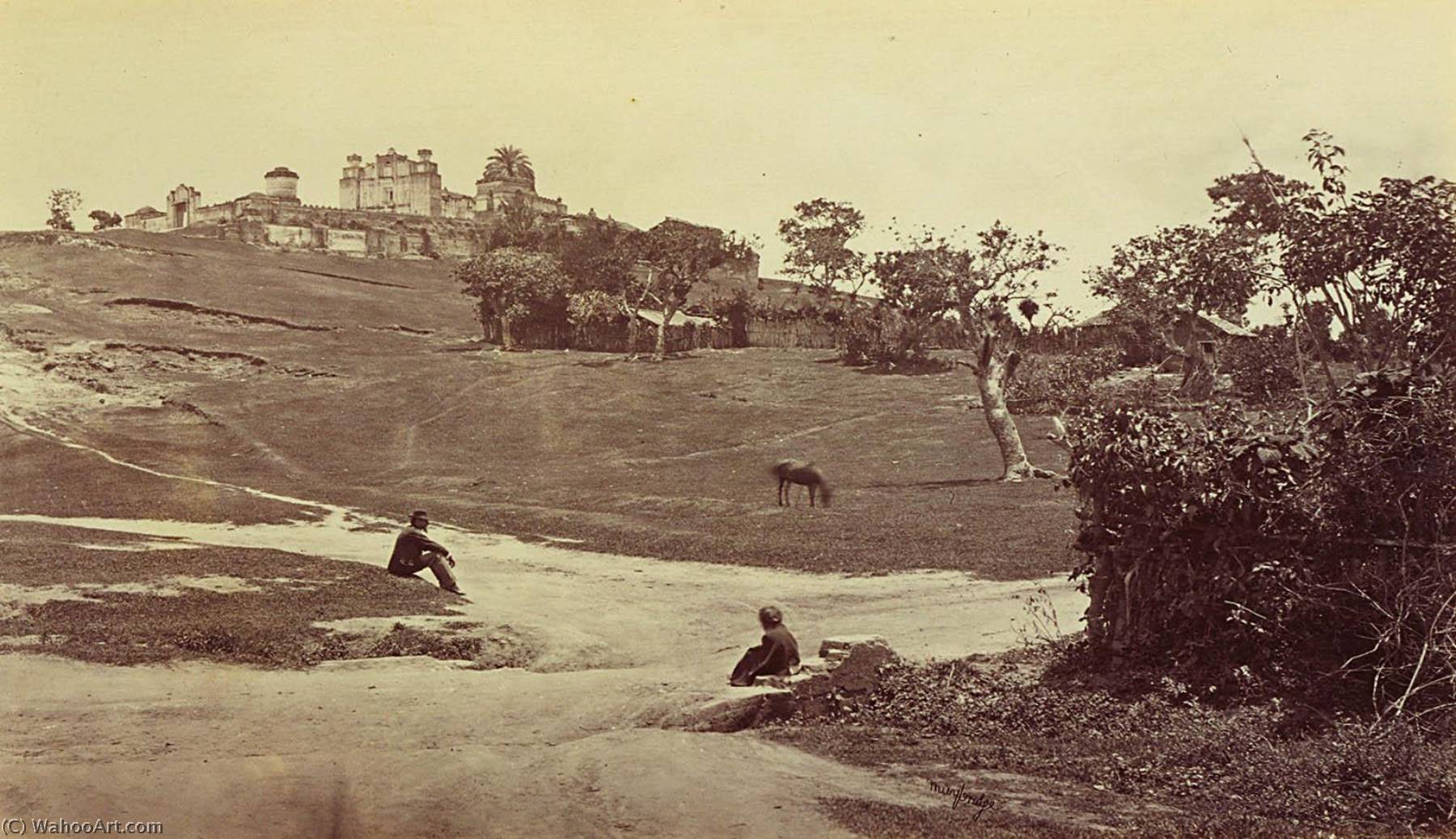 Cerro Del Carmen Guatemala — Eadweard J Muybridge