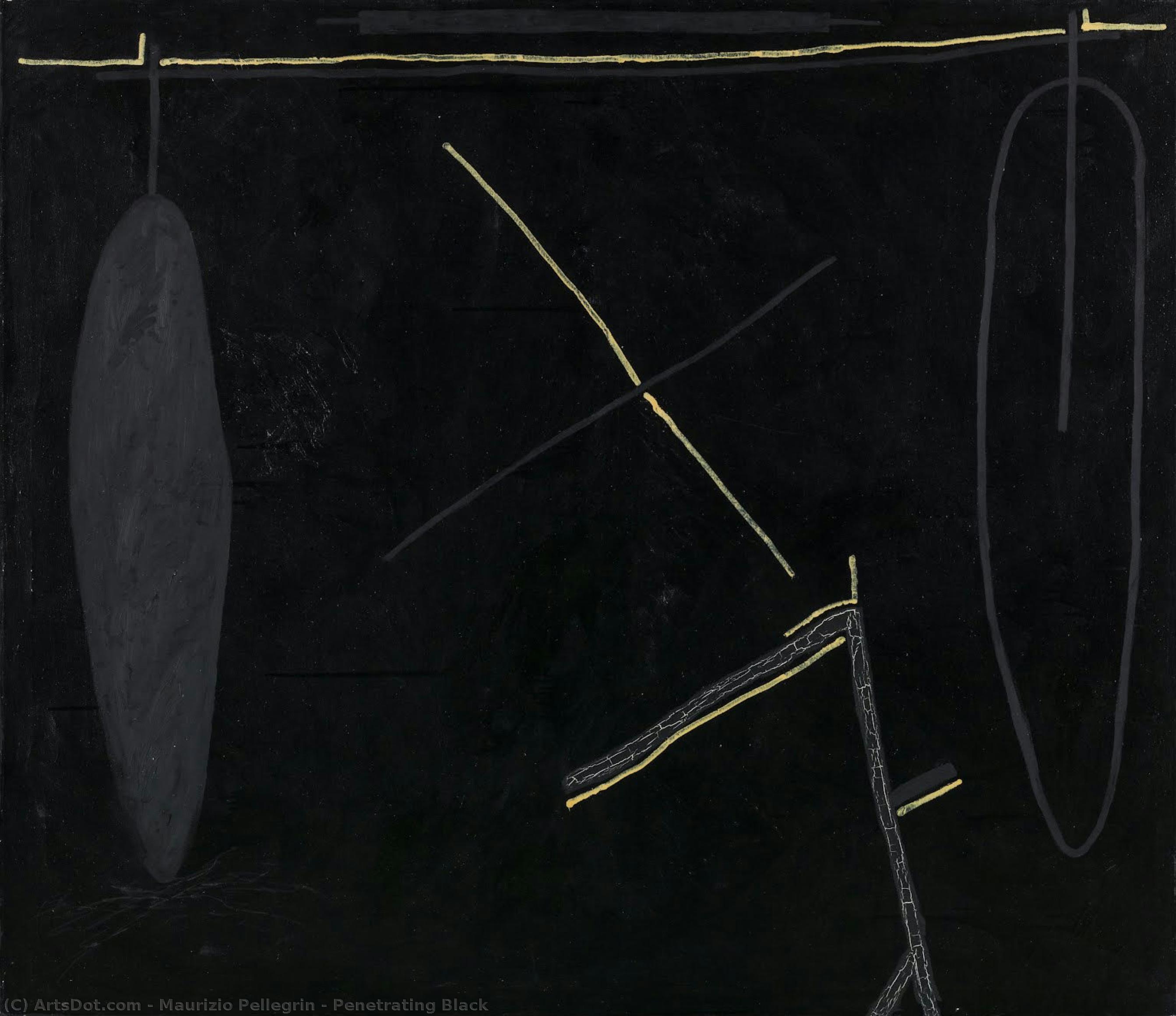 Penetrating Black — Maurizio Pellegrin