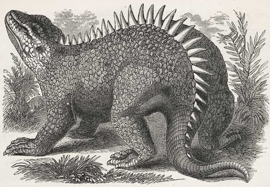 Hylaeosaurus — Benjamin Waterhouse Hawkins