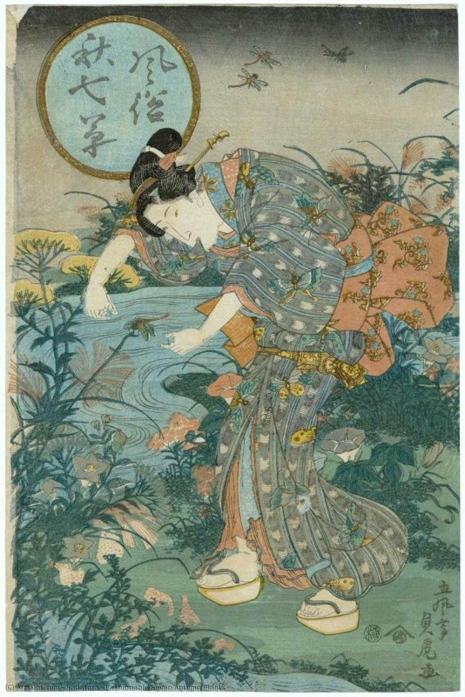 Fashionable Seven Autumn Plants — Sadatora