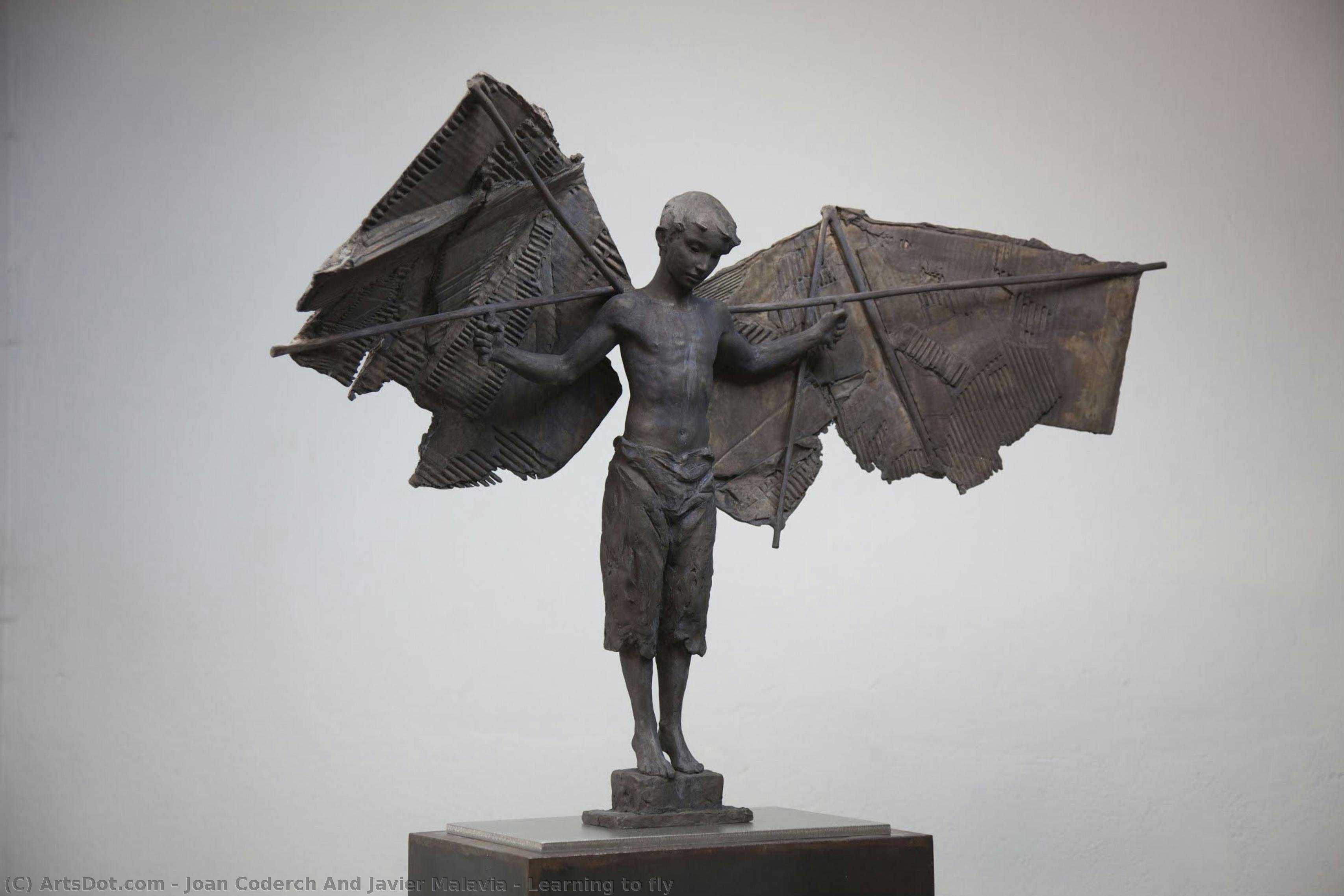 Learning To Fly — Joan Coderch And Javier Malavia