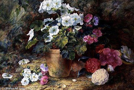 A Still Life Of Pelargoniums In A Pot With Camellias — George Clare