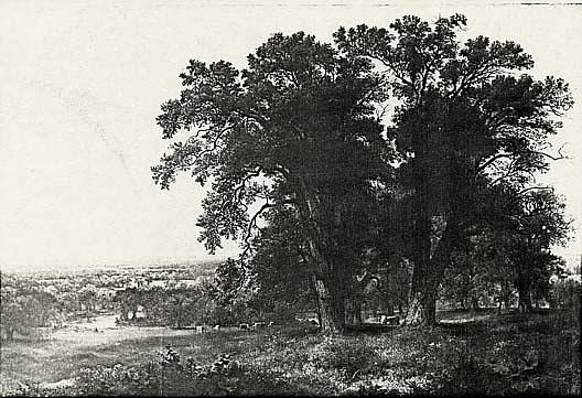 Genesee Oaks, (painting) — Ашер Браун Дюран
