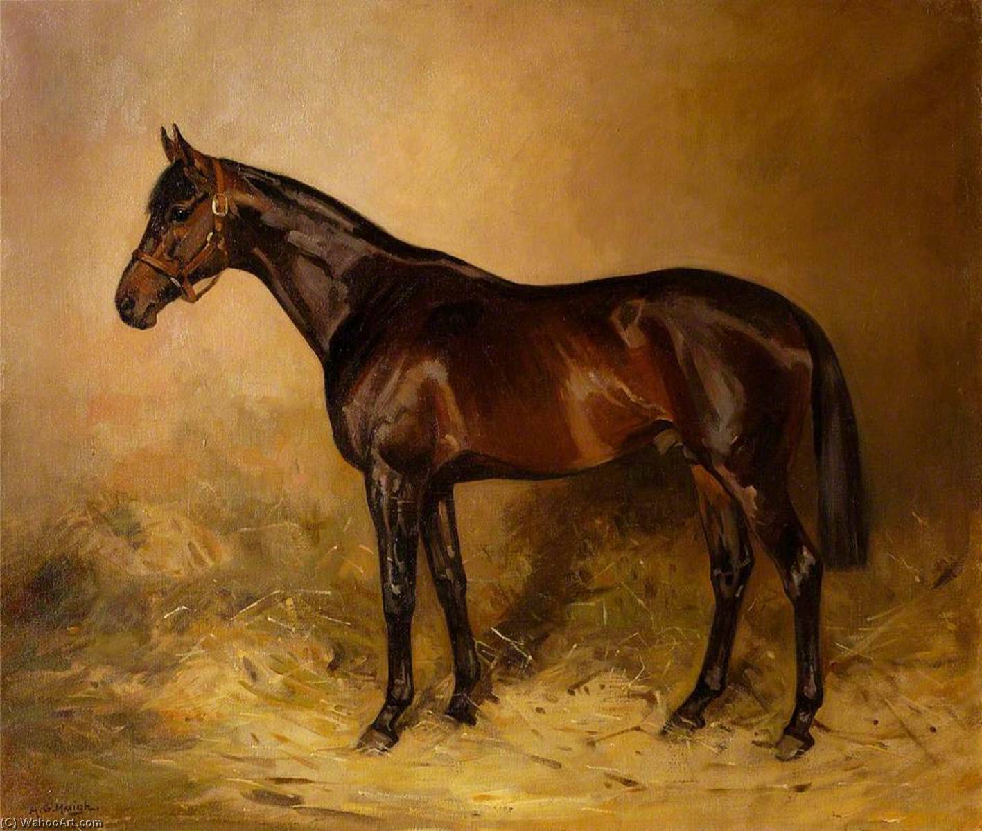 'cannobie' — Alfred Grenfell Haigh